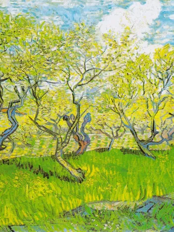 Produit Vincent Van Gogh : Verger en Fleurs Image