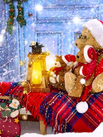 Produit Ours de Noël Image