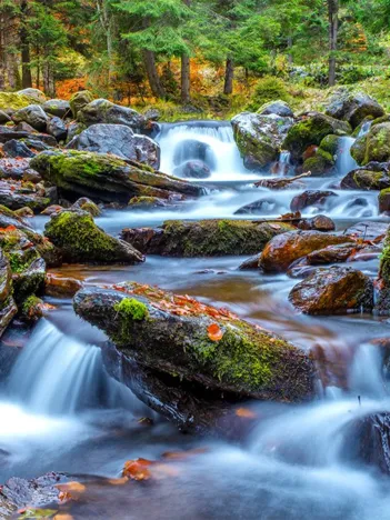 Produit Forest Stream in Autumn Image