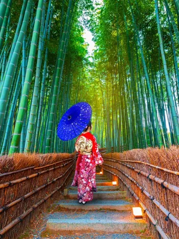 Produit Asian Woman in Bamboo Forest Image