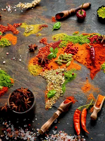 Produit Carte du Monde en Epices Image