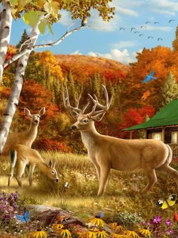 Produit Somewhere in a Field Image