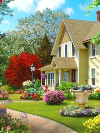 Produit Summer Morning Image