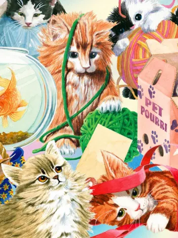 Produit Curious Cats Image