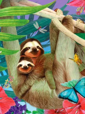 Produit Sweet Sloths Image