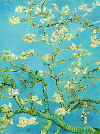 Produit Vincent Van Gogh : Fleur d'amandier Image