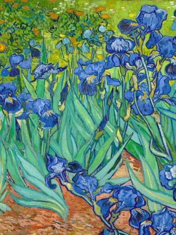 Produit Vincent Van Gogh : Iris Image