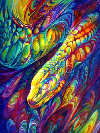 Produit Serpent Arc-En-Ciel Image