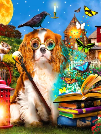 Produit L'École de la Magie Image