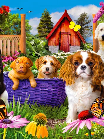 Produit Écusson pour Chiot Image