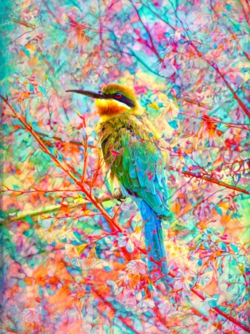 Produit Oiseau Joyeux Image