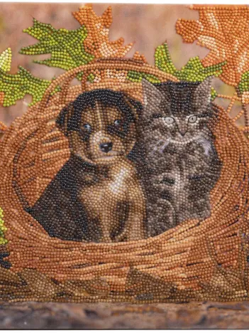 Produit Crystal Art - Kit Broderie Diamant - Chat et Chien Image