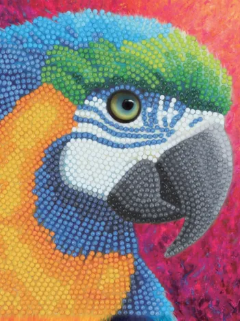Produit Crystal Art - Kit Broderie Diamant - Perroquet Image