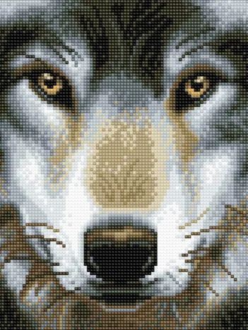 Produit Crystal Art - Kit Broderie Diamant - Loup Image
