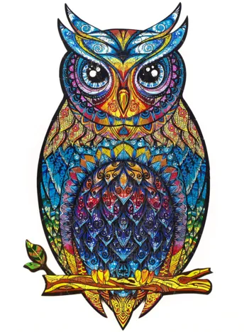 Produit Charmante Chouette - Taille M Image