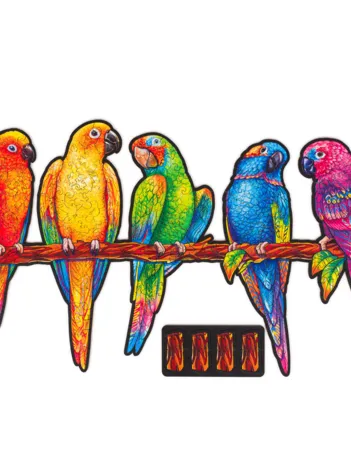 Produit Perroquets Ludiques - Taille M Image