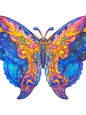 Produit Papillon Intergalactique - Taille M Image