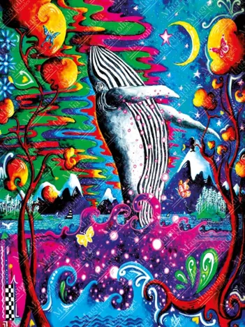 Produit Rise Above Image