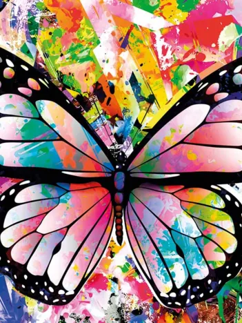 Produit Colorful Butterfly Image
