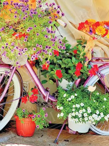 Produit Bicycle with Flowers Image
