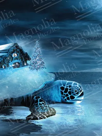 Produit House & Turtle Image