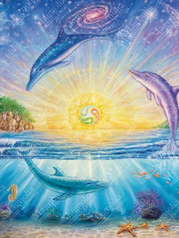 Produit Dolphins Image