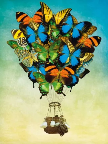 Produit Butterfly Balloon Image