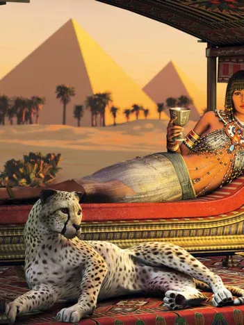 Produit Dinner at the Pyramids Image