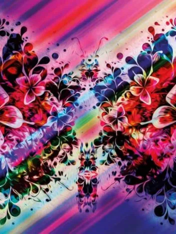 Produit Butterfly Image