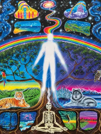 Produit Soul Ascension Image