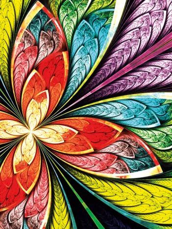 Produit Colorful Flower Image