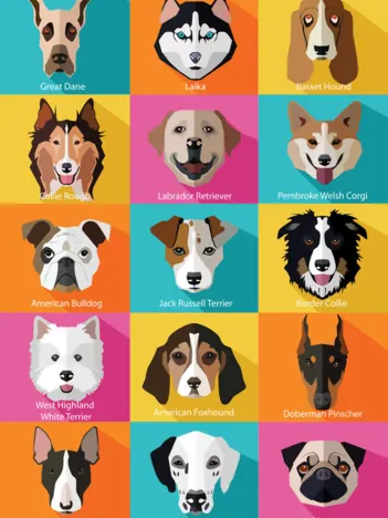 Produit The Dogs Image