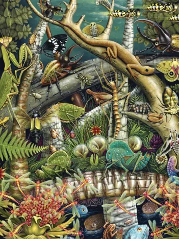 Produit Mante Religieuse Image