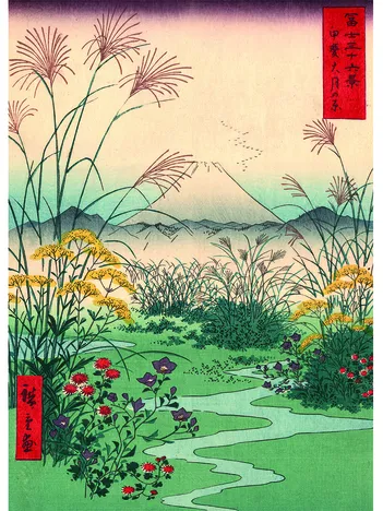 Produit Mont Fuji Champ Image