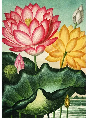 Produit Fleurs V Image