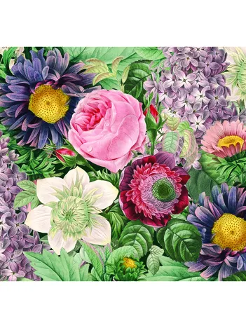 Produit Fleurs H Image