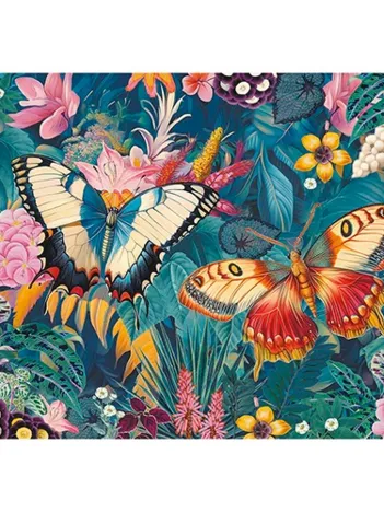 Produit Papillons Image