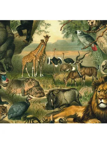 Produit Animaux Savane Image