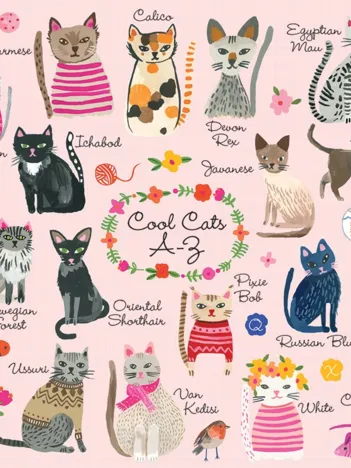 Produit Chats Cool de A à Z - Puzzle 1000 Pièces Image