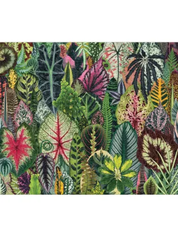 Produit Jungle de Plantes d'Intérieur - Puzzle 1000 Pièces Image