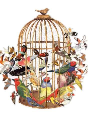 Produit Bouquet d'Oiseaux - Puzzle Forme de 750 pièces Image