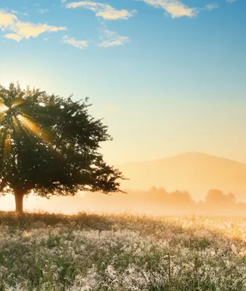 Produit Play of Light Image