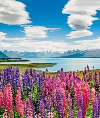 Produit Lake Tekapo Image