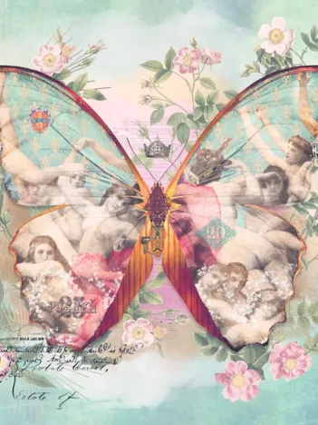 Produit Ailes n°1 Image