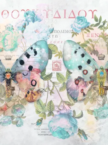 Produit Ailes n°2 Image