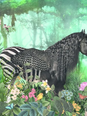 Produit Equpidae Image