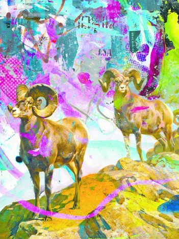 Produit Big Horns Image