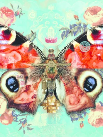 Produit Wings No. 3 Image