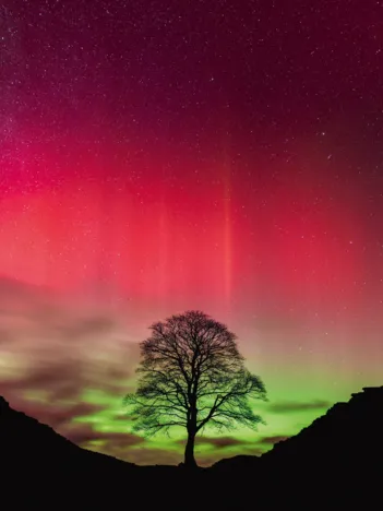 Produit Sycamore Gap Image