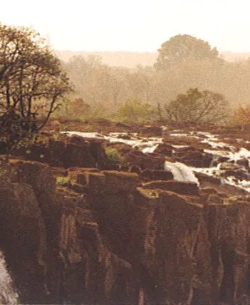 Produit Eléphant Image